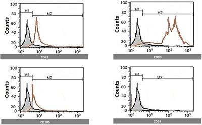 Melatonin-Pretreated Mesenchymal Stem Cells Improved Cognition in a Diabetic Murine Model